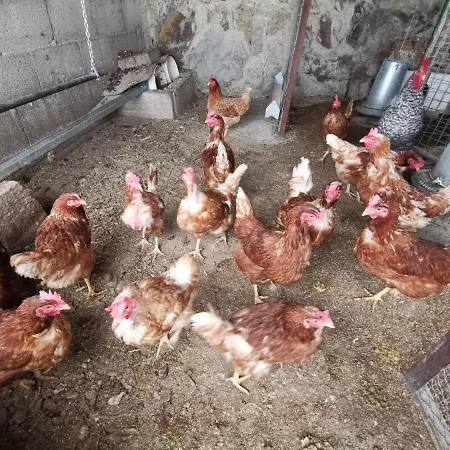 Dolores En Adeje Dom wakacyjny *