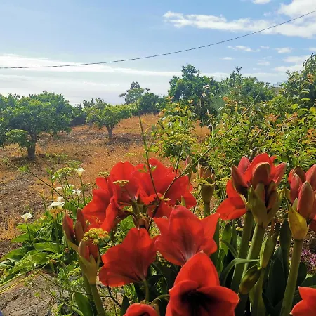 Dolores En Adeje Dom wakacyjny