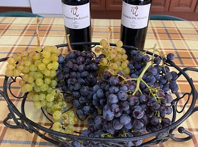 Будинок відпочинку Dolores En Adeje