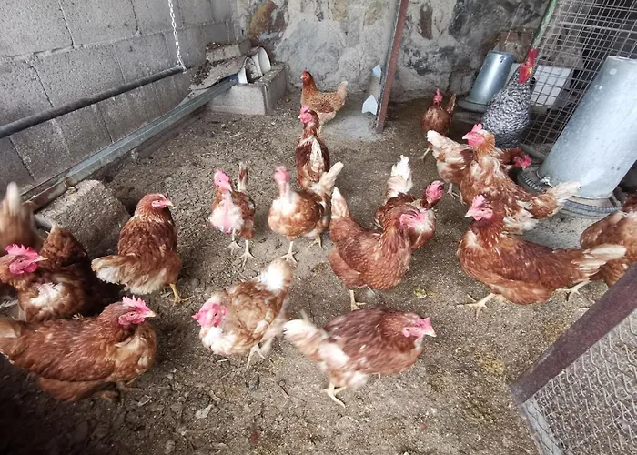 Dolores En Adeje Будинок відпочинку *