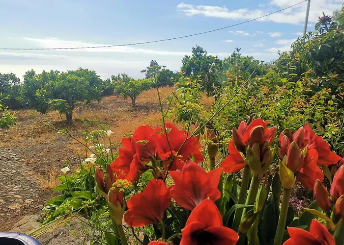 Dolores En Adeje Будинок відпочинку